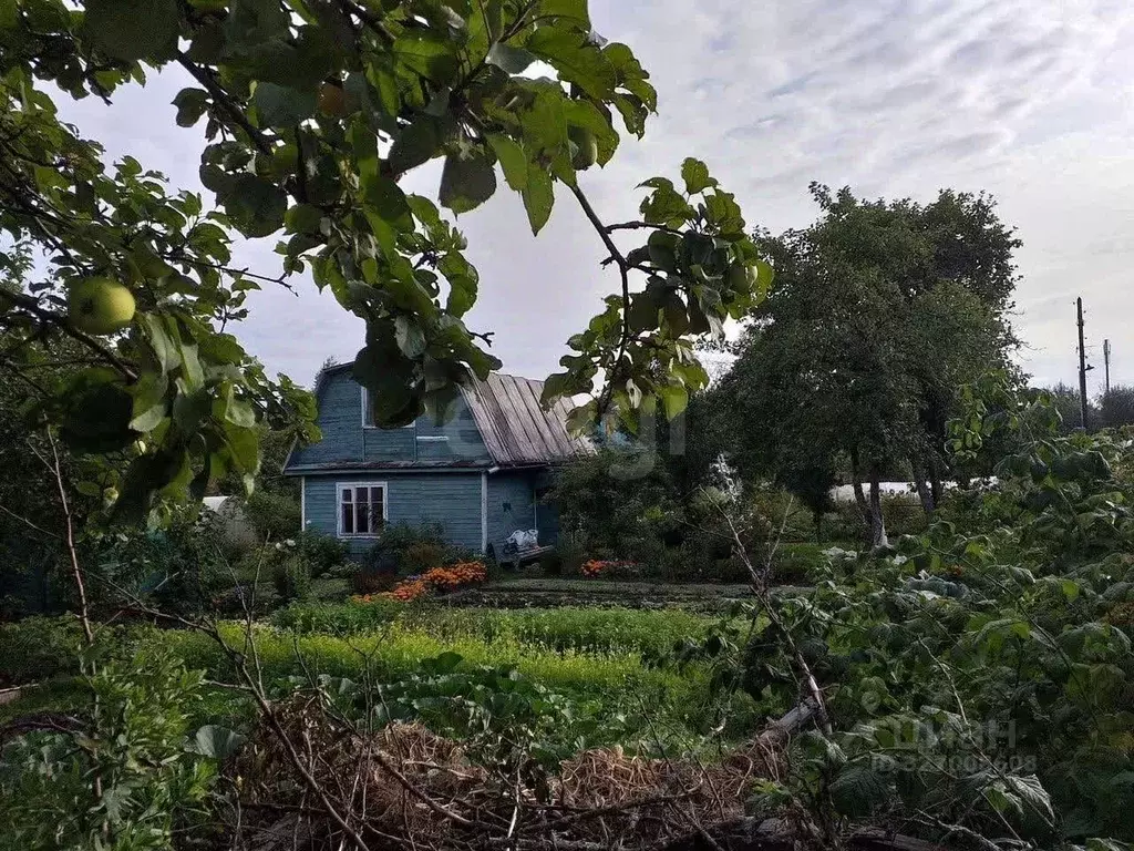 Участок в Ярославская область, Ярославль Ветеран Труда СНТ, 102 (4.6 ... - Фото 2