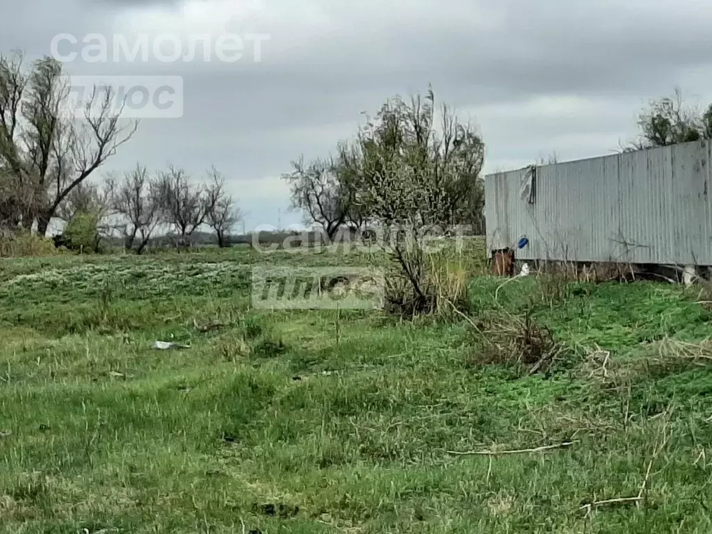 Участок в Астраханская область, Камызяк пос. Крутая Берега, ул. ... - Фото 1