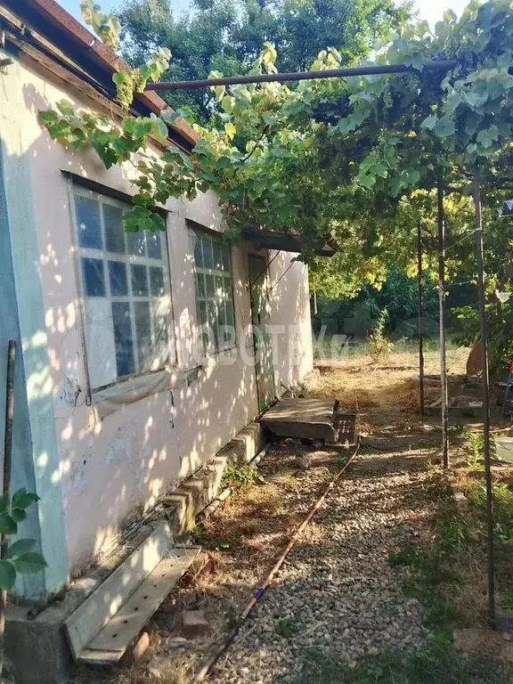 Дом 50 м на участке 8 сот. - Фото 0