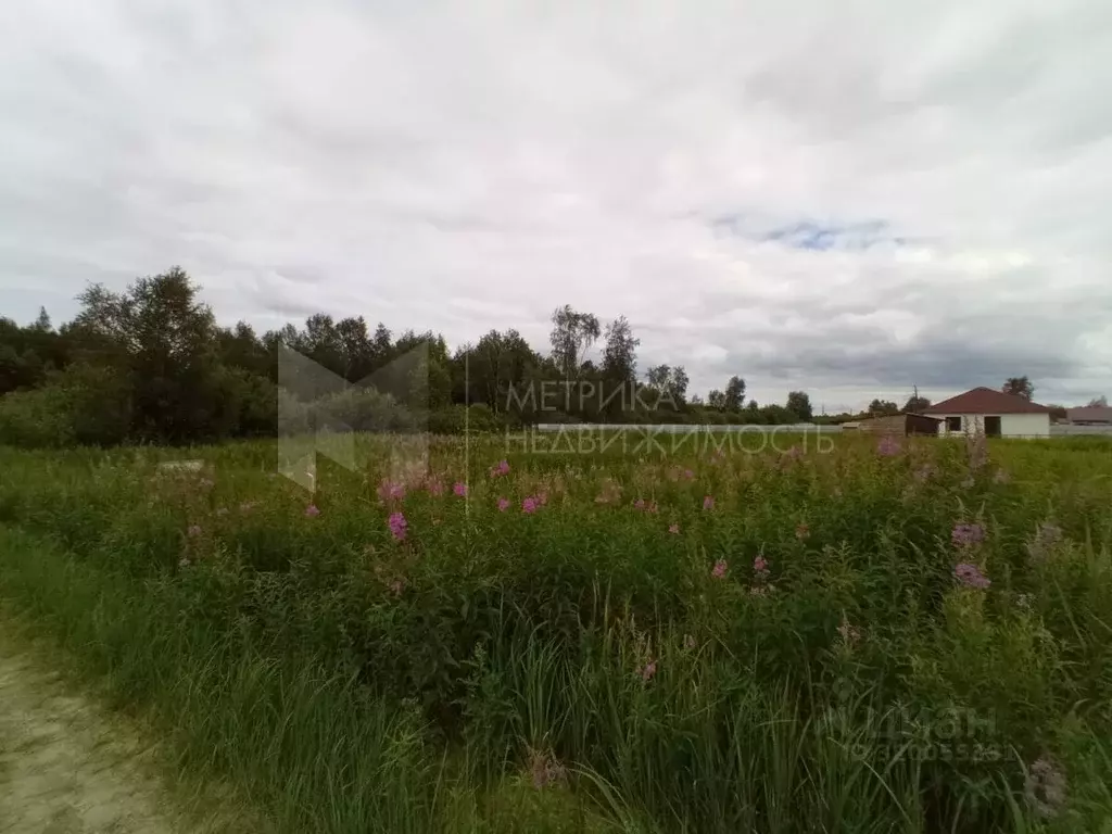 Участок в Тюменская область, Нижнетавдинский район, Строитель ТСН 934 ... - Фото 0