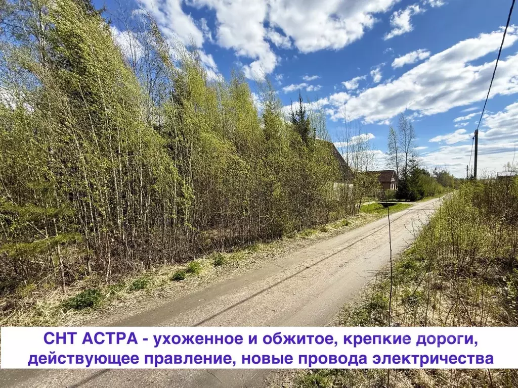 Участок в Ленинградская область, Выборгский район, Гончаровское с/пос, ... - Фото 2
