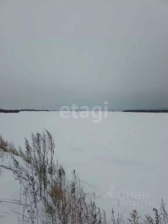 Участок в Амурская область, Белогорский муниципальный округ, с. ... - Фото 1