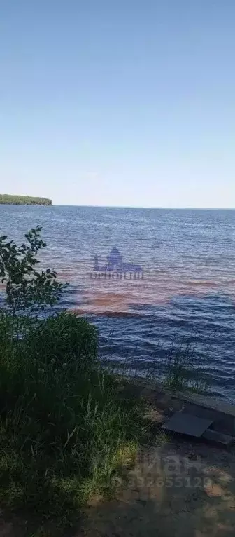 Участок в Нижегородская область, Чкаловск муниципальный округ, с. ... - Фото 2