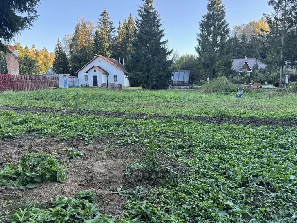 Участок в Москва д. Анкудиново, Поляна СНТ,  (8.0 сот.) - Фото 2