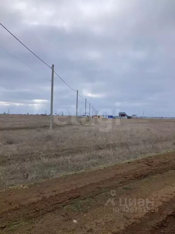 Участок в Крым, Сакский район, Молочненское с/пос, с. Витино  (8.77 ... - Фото 1