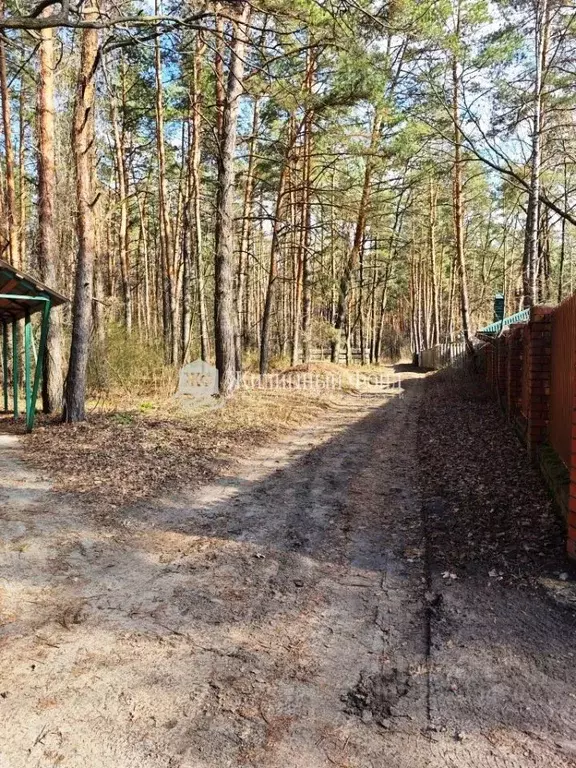 Дом в Курская область, Курчатовский район, с. Дичня  (128 м) - Фото 1