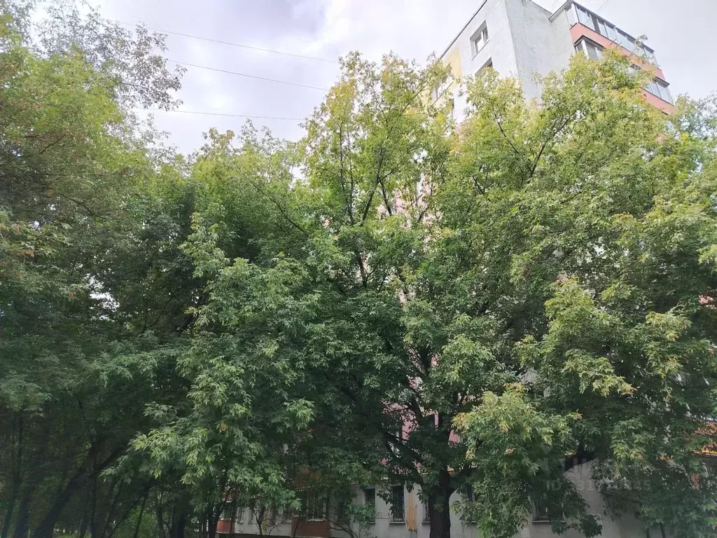 2-к кв. Москва Самаркандский бул., 9К1 (43.9 м) - Фото 2