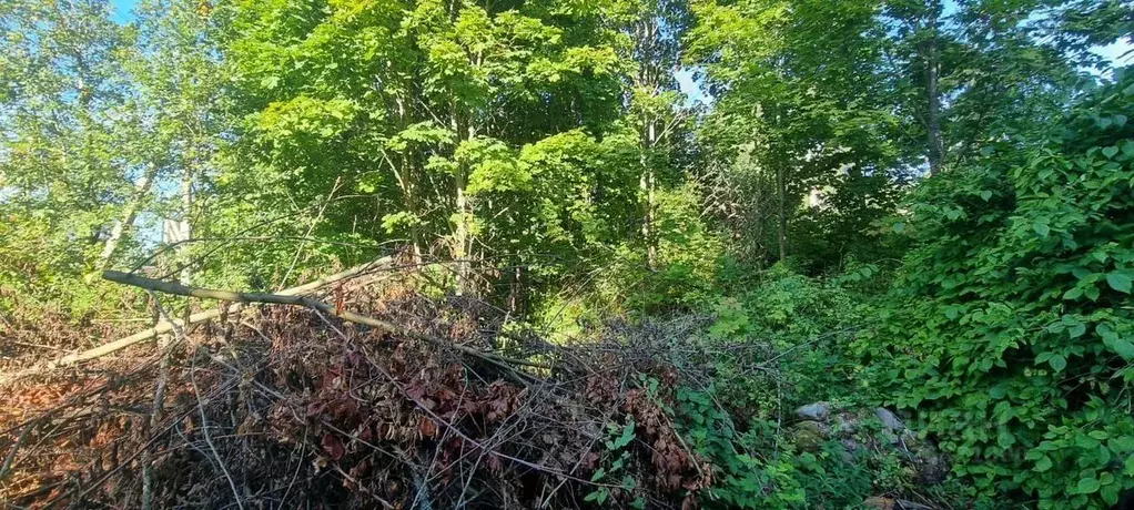 Участок в Ленинградская область, Всеволожский район, Юкковское с/пос, ... - Фото 1