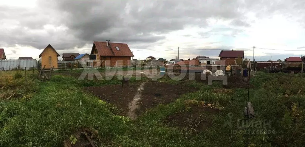 Участок в Новосибирская область, Новосибирский район, Кубовинский ... - Фото 1