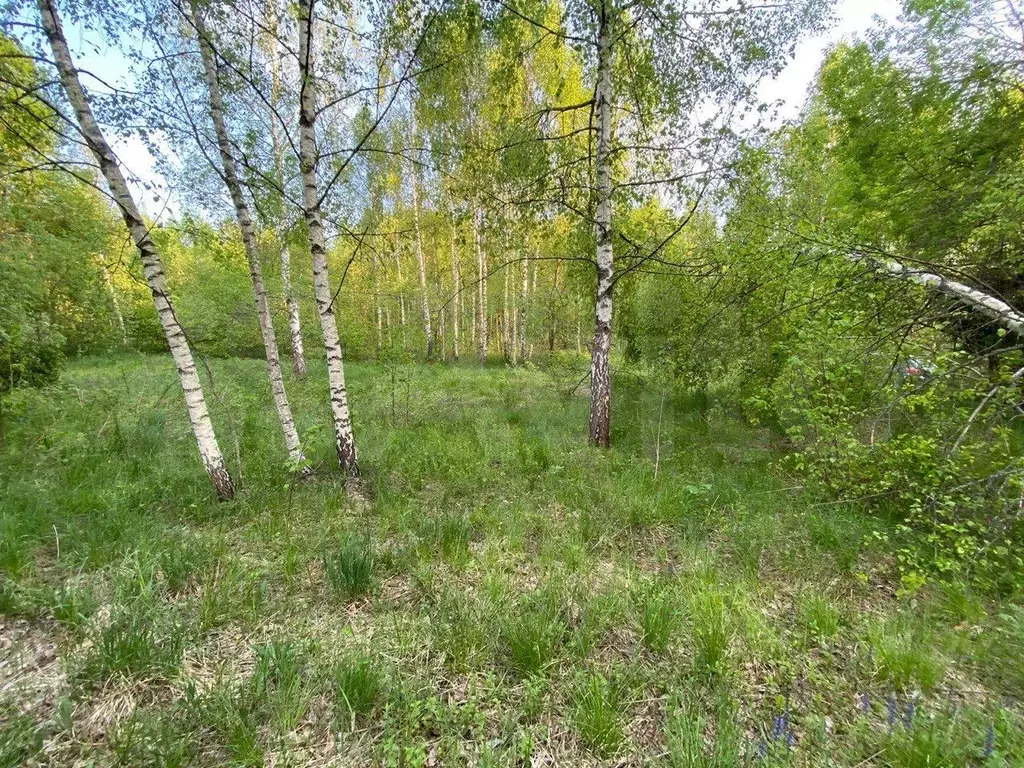 Участок 10 сот. (СНТ, ДНП) - Фото 0