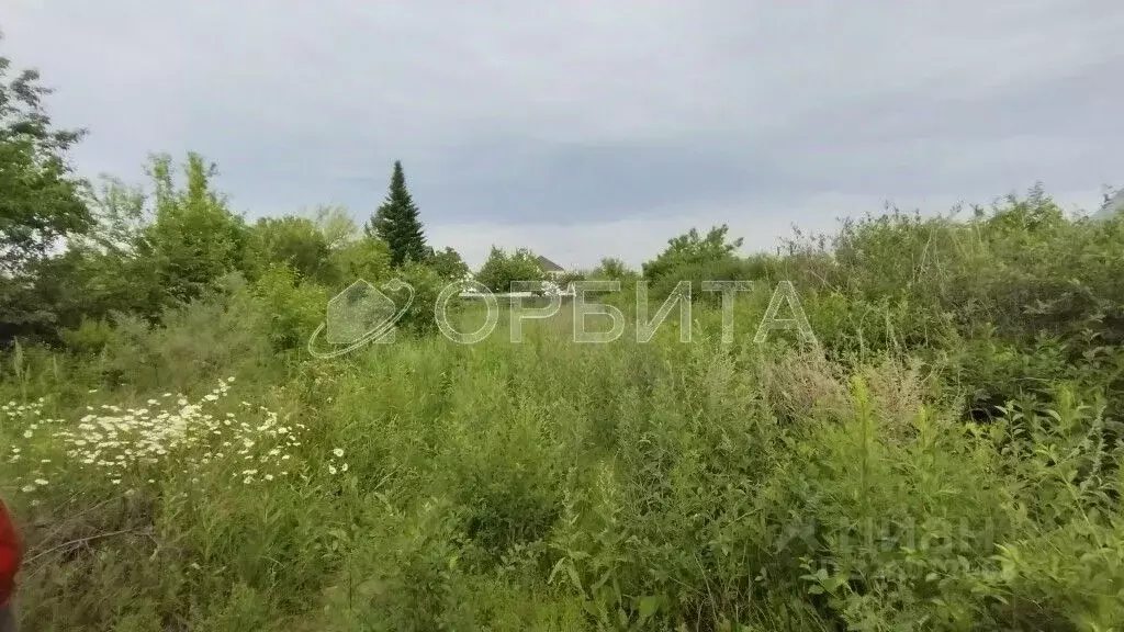 Участок в Тюменская область, Тюмень Садовое товарищество Липовый ... - Фото 1