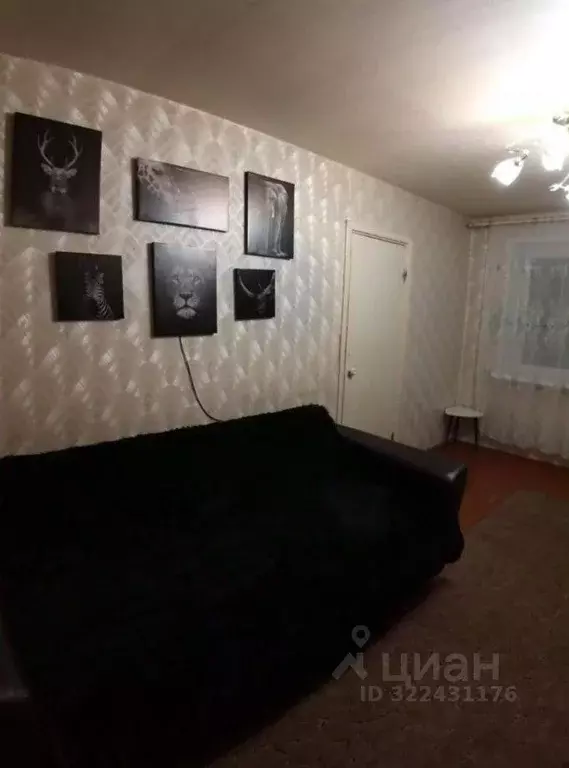 2-к кв. Ивановская область, Иваново ул. Колесанова, 5 (46.0 м) - Фото 0