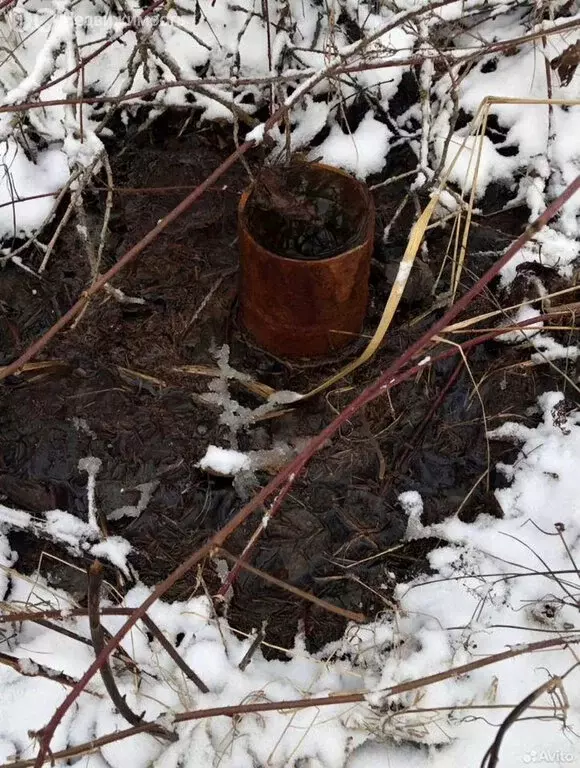 Участок в Кингисепп, садоводческое некоммерческое товарищество ... - Фото 1