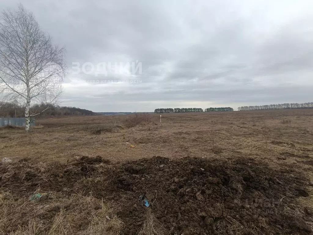 Участок в Чувашия, Цивильск Цивильский район, ул. Павла Иванова (9.0 ... - Фото 1