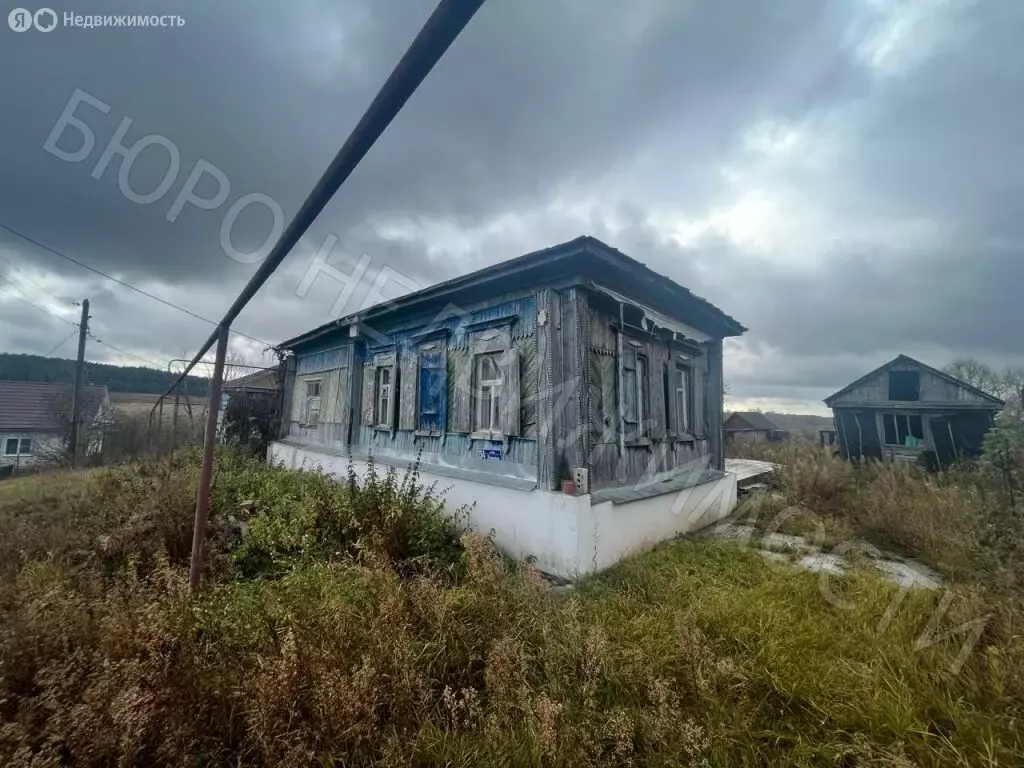 Дом в Пинеровка, улица Ленина, 264 (40 м) - Фото 1