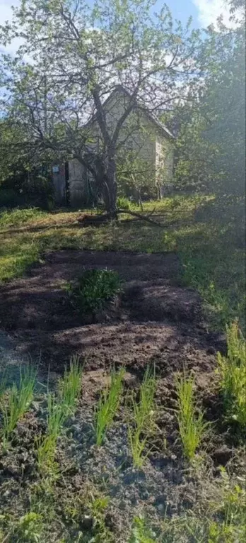 Дом в Владимирская область, Суздальский район, пос. Боголюбово, Имени ... - Фото 0