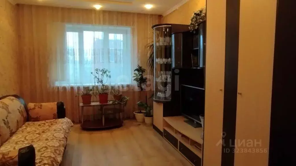 1-к кв. Ленинградская область, Кириши ул. Нефтехимиков, 24А (41.0 м) - Фото 1