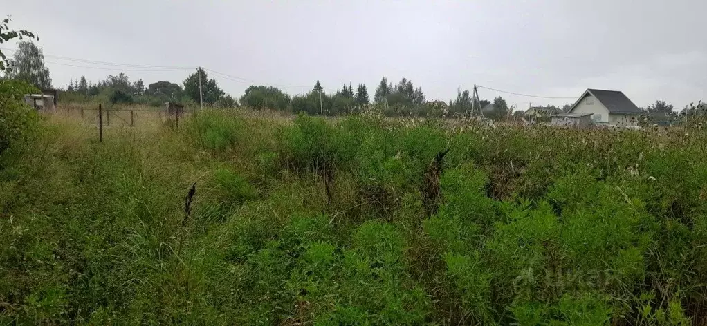 Участок в Ленинградская область, Ломоносовский район, Горбунковское ... - Фото 2