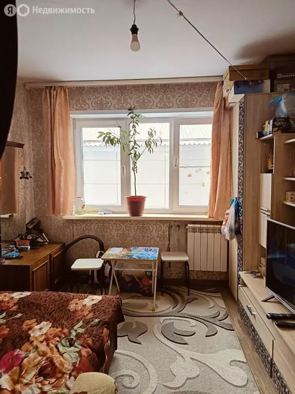 1-комнатная квартира: Кемерово, проспект Ленина, 88 (17.2 м) - Фото 0
