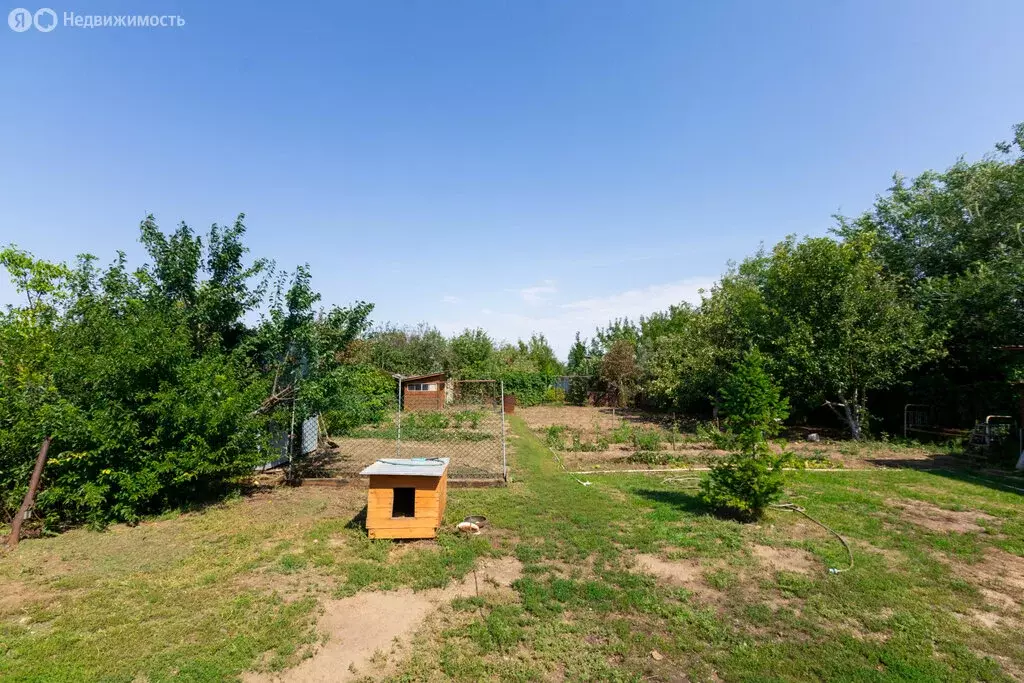 Участок в Нежинский сельсовет, СТ Облепиха, 141 (10 м) - Фото 1
