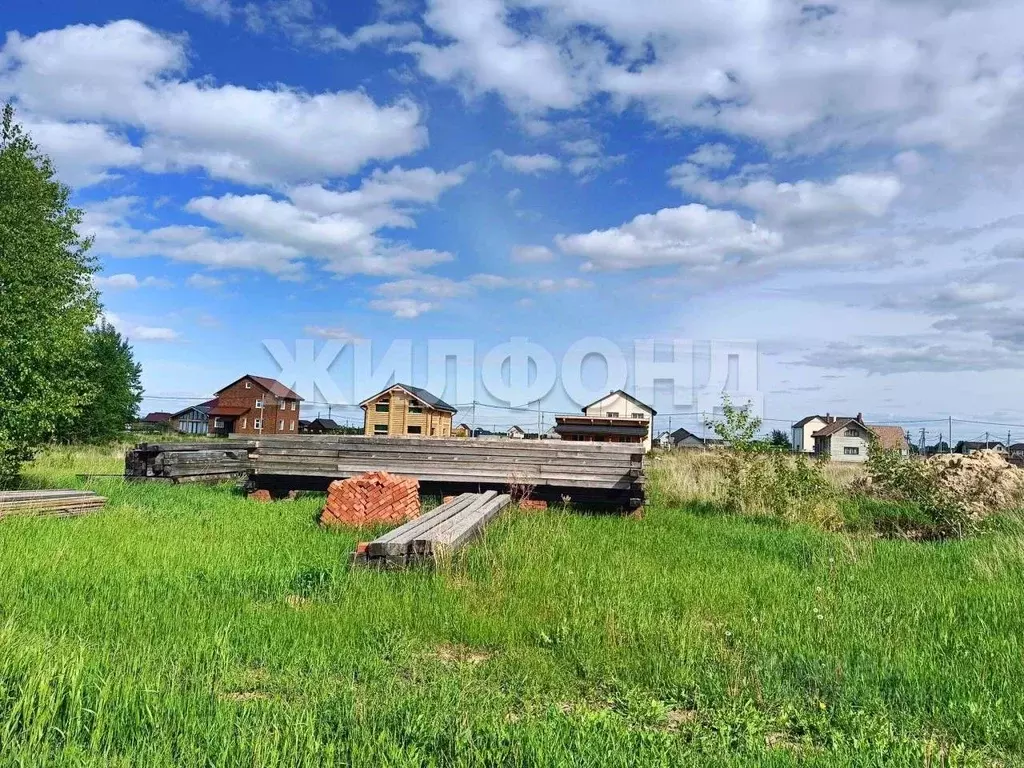 Участок в Новосибирская область, Новосибирский район, Толмачевский ... - Фото 1