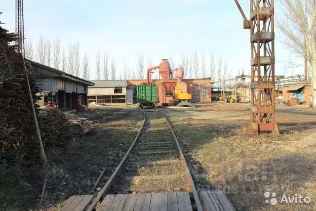 Помещение свободного назначения в Краснодарский край, Ейск ... - Фото 1