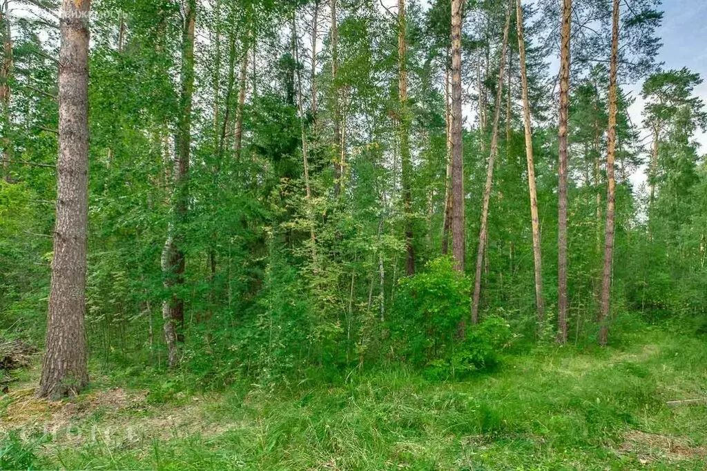 Участок в посёлок Николина Гора, КП Никологорское (12 м) - Фото 1