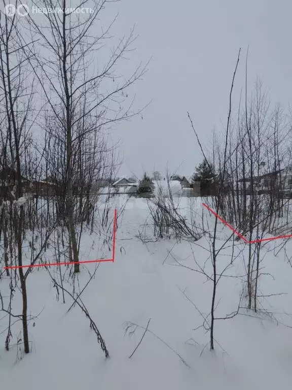 Участок в Котлас, улица Попова (8.71 м) - Фото 1