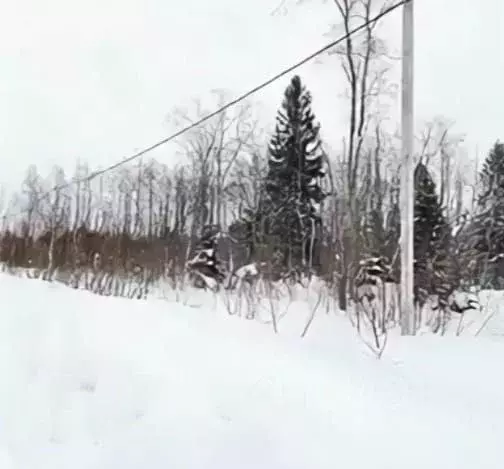 Участок в Вологодская область, Череповец ул. Кружевная (8.0 сот.) - Фото 0