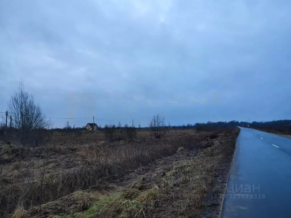 Участок в Новгородская область, Шимский район, Подгощское с/пос, с. ... - Фото 0