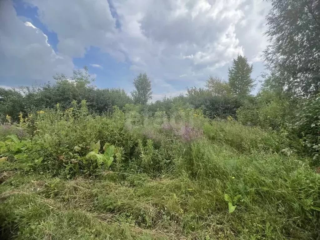 Участок в Башкортостан, Стерлитамакский район, Октябрьский сельсовет, ... - Фото 1