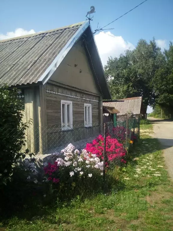 Дом в Псковская область, Гдовский район, Добручинская волость, д. ... - Фото 0