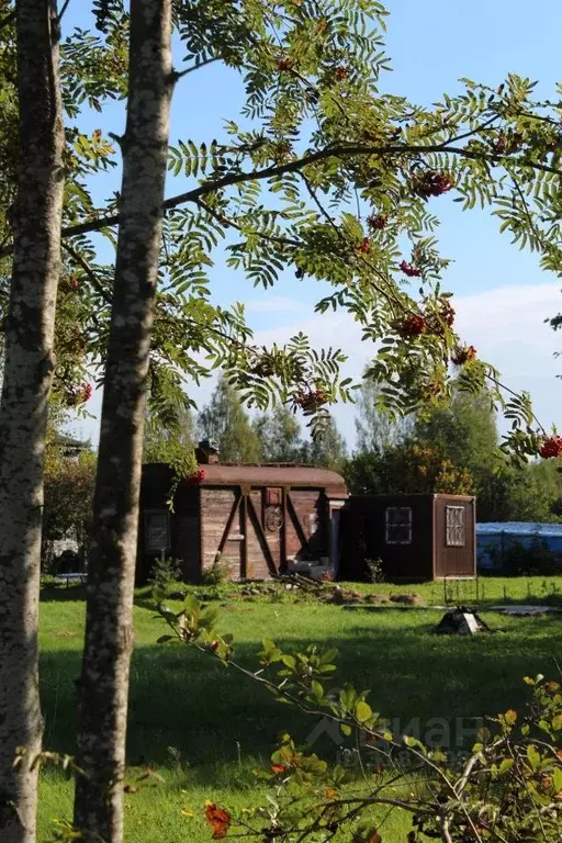 Дом в Новгородская область, Маловишерское городское поселение, д. ... - Фото 1