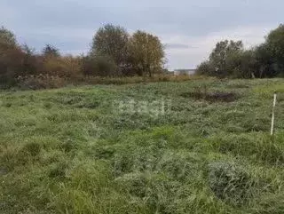Участок в Калининградская область, Гурьевский муниципальный округ, ... - Фото 1