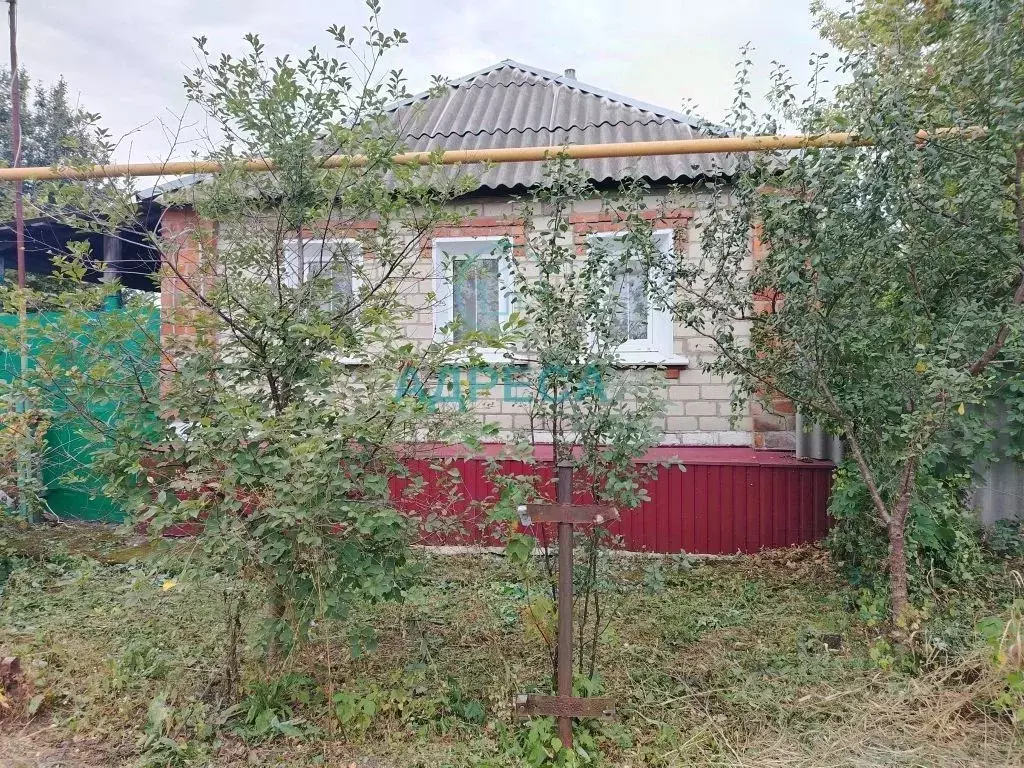 Дом в Белгородская область, Новый Оскол Спортивная ул. (36 м) - Фото 2