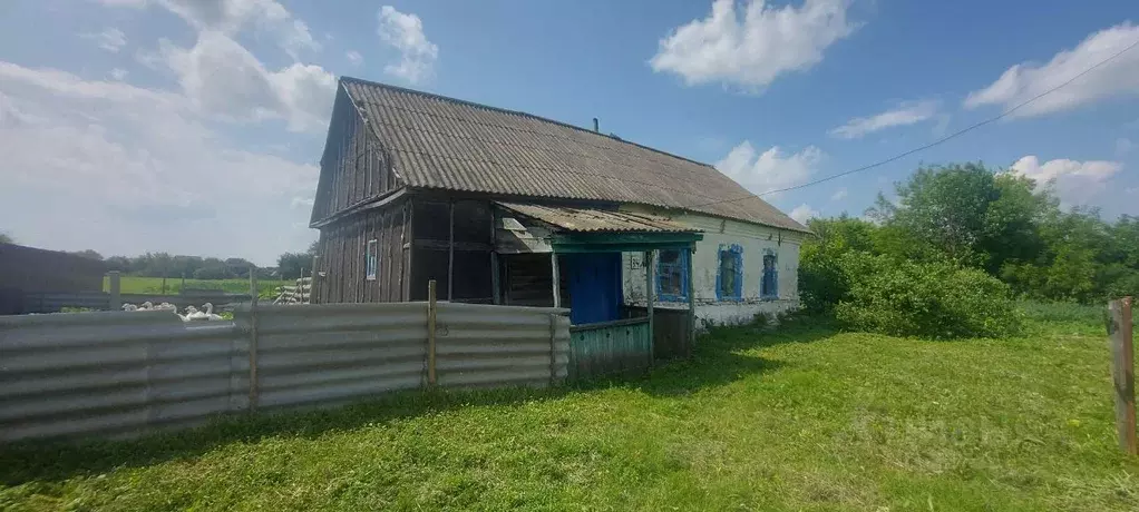 Дом в Тамбовская область, Мичуринский муниципальный округ, с. Терское ... - Фото 1