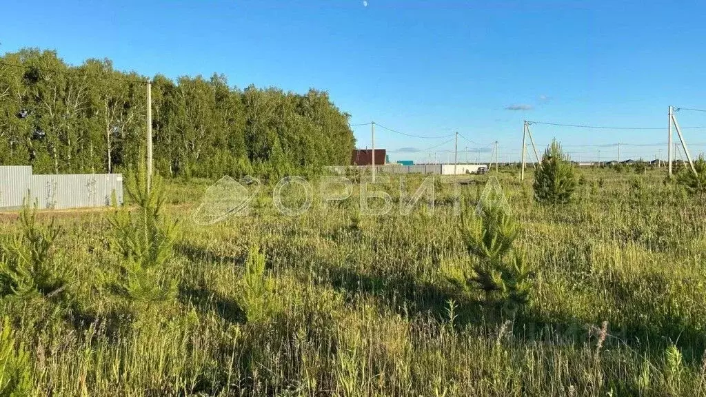 Участок в Тюменская область, Тюменский муниципальный округ, с. Кулига  ... - Фото 1