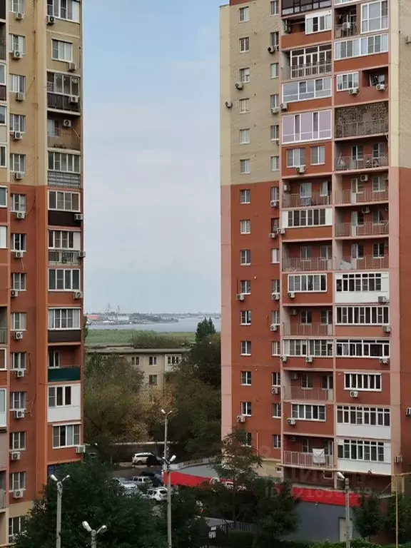 1-к кв. Астраханская область, Астрахань ул. Савушкина, 6И (26.0 м) - Фото 2