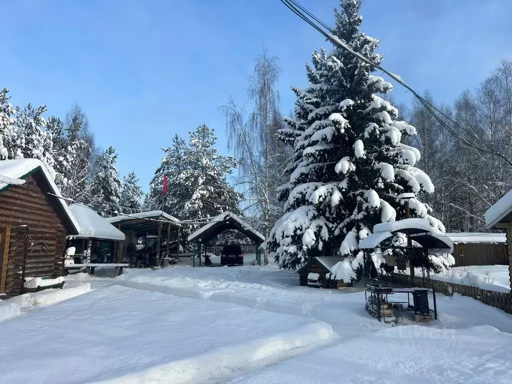 Дом в Тверская область, Старицкий муниципальный округ, д. Ново-Курцово ... - Фото 1