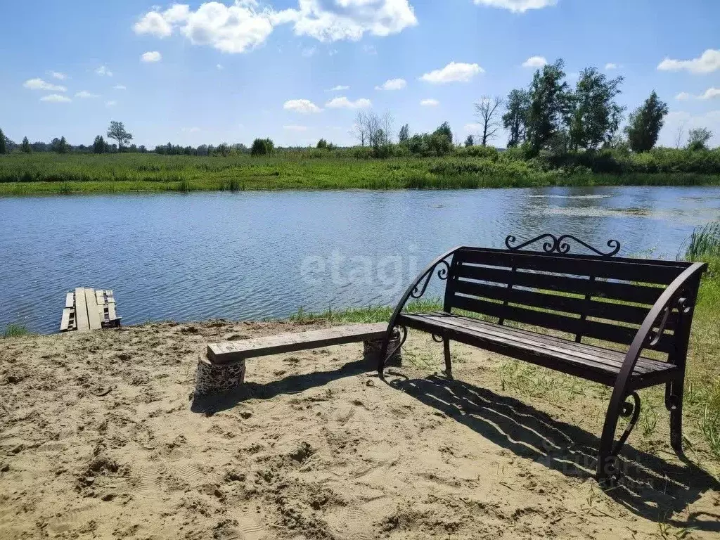 Участок в Новосибирская область, Новосибирский район, Кубовинский ... - Фото 0