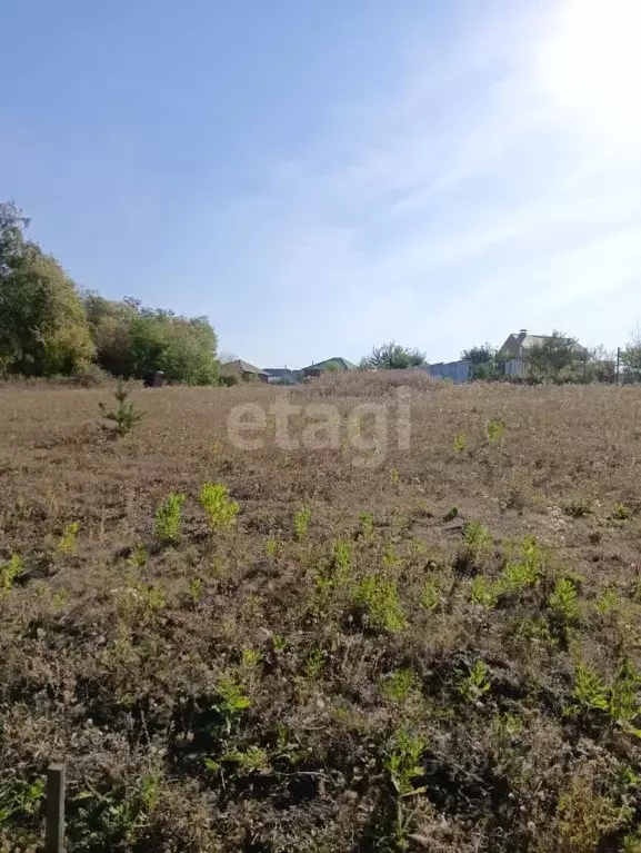 Участок в Белгородская область, Белгородский район, с. Стрелецкое ул. ... - Фото 0