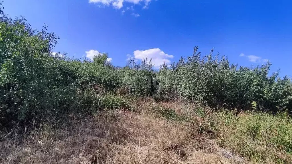 Участок в Ставропольский край, Ставрополь Зеленый Яр садовое ... - Фото 2