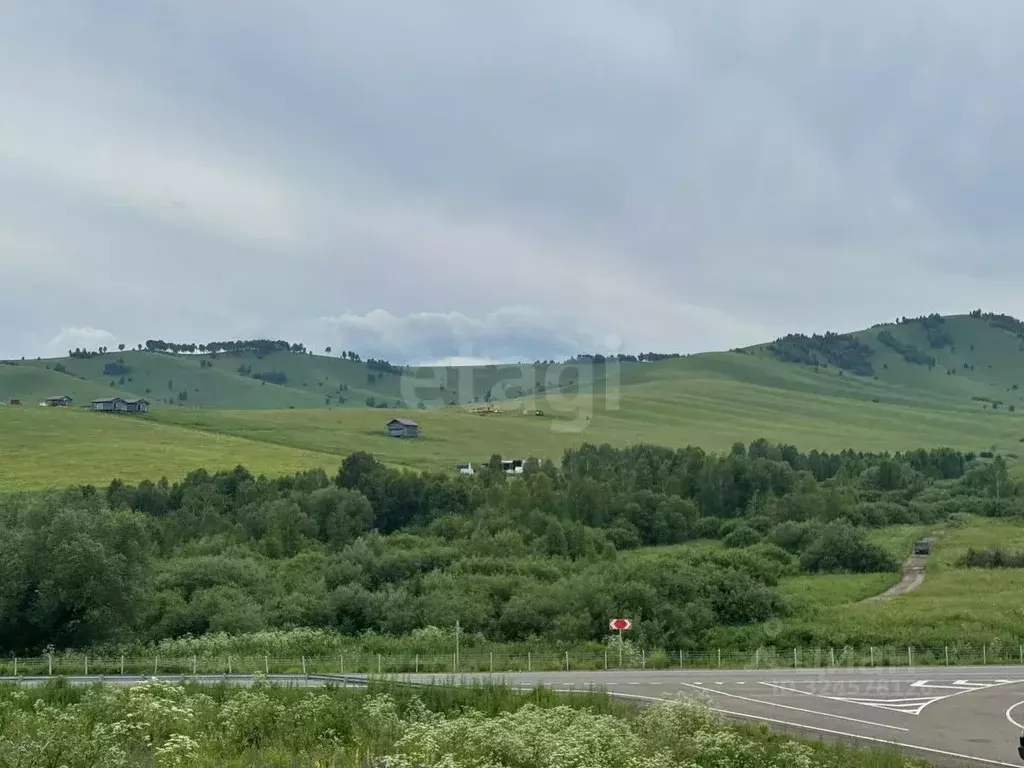Участок в Алтайский край, Алтайский район, Жемчужина Алтая ДНТ  (10.9 ... - Фото 2