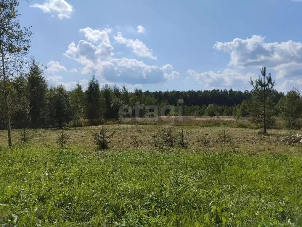 Участок в Костромская область, Костромской район, Самсоновское с/пос, ... - Фото 1