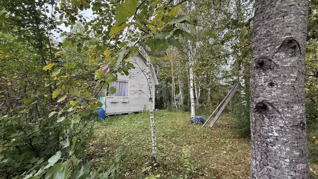 Дом в Ленинградская область, Кингисеппский район, Большелуцкое с/пос, ... - Фото 1