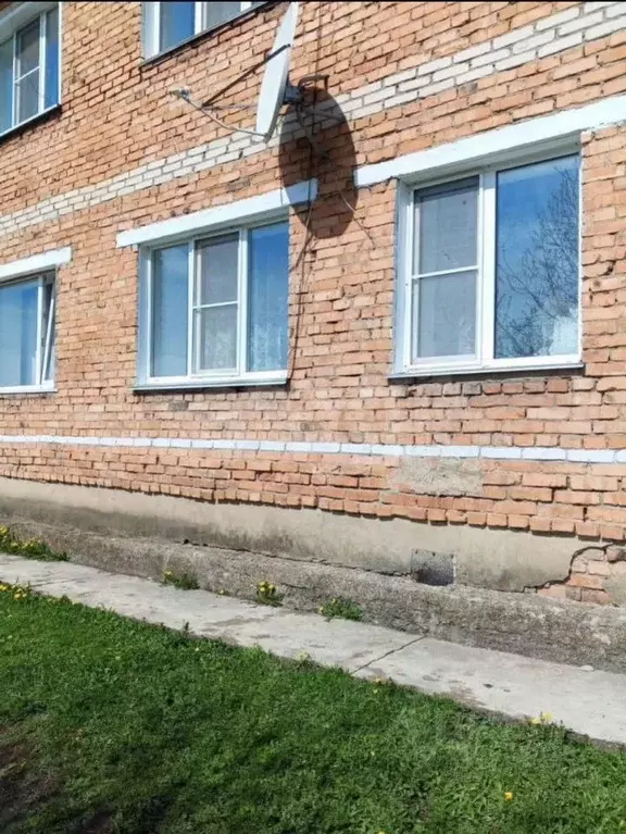 1-к кв. Алтайский край, с. Ельцовка ул. Ульяновская, 11 (26.2 м) - Фото 0