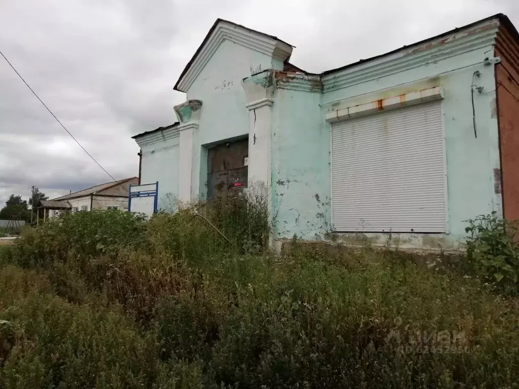 Помещение свободного назначения в Саратовская область, Татищевский ... - Фото 1