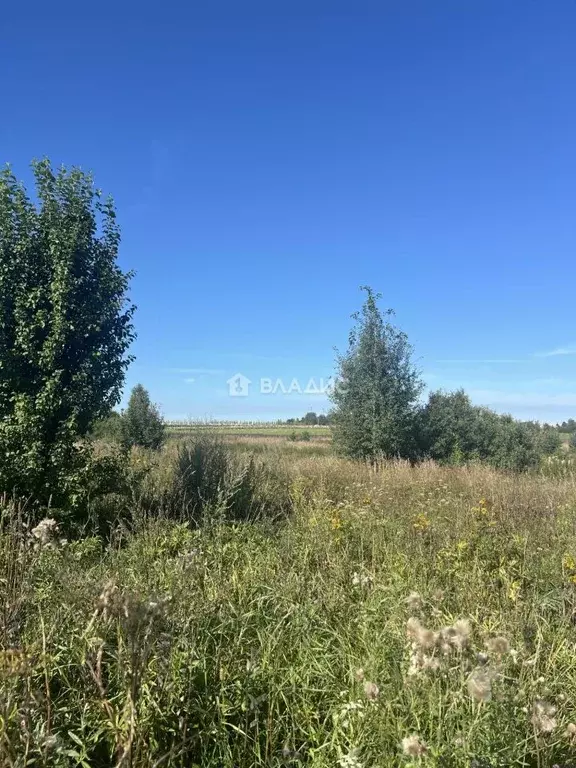 Участок в Владимирская область, Ковровский район, Доброград ... - Фото 2