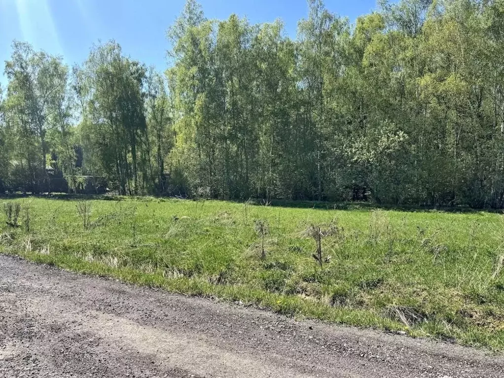 Участок в Московская область, Раменский муниципальный округ, д. ... - Фото 2