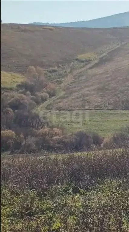 Участок в Алтай, Майминский район, с. Верх-Карагуж  (10.0 сот.) - Фото 1
